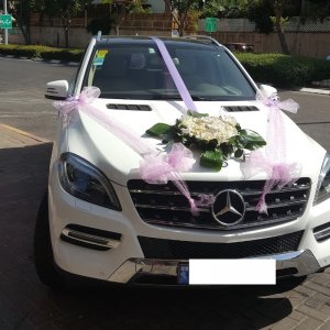 קישוט רכב