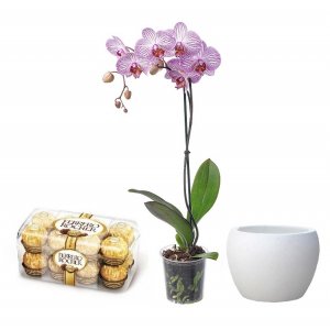 חבילת הריביירה הצרפתית