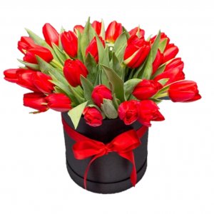 טוליפים בקופסה לוצרן